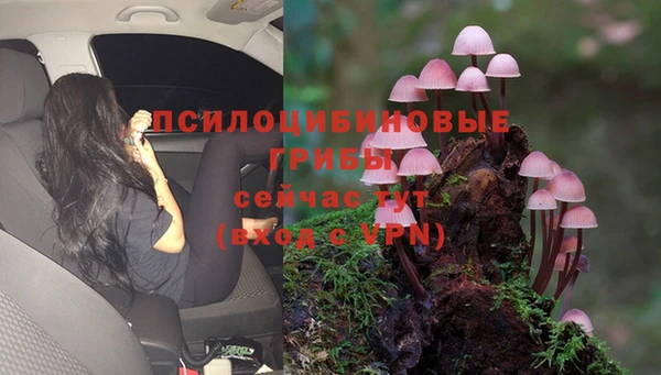дживик Богданович