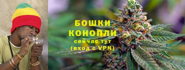 соль ск Богородицк