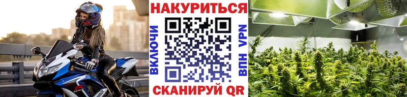 Купить где  Курильск  МАРИХУАНА THC 21% 